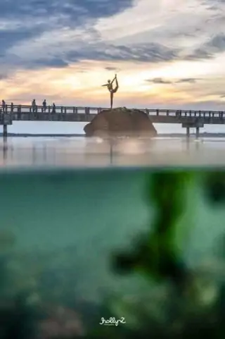 Holly Z Photography 