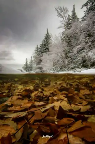 Holly Z Photography 