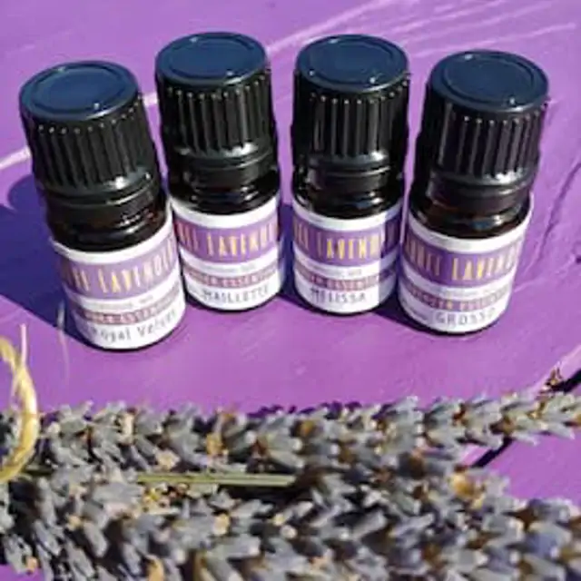 Laurel Lavender Farm